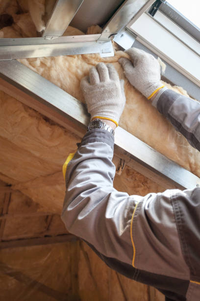 Best Attic Insulation Installation  in Fosston, MN