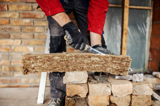 Best Insulation Removal Services  in Fosston, MN