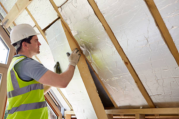 Best Wall Insulation Contractor  in Fosston, MN