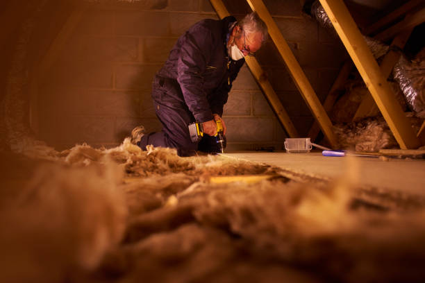 Best Blown-in Insulation  in Fosston, MN