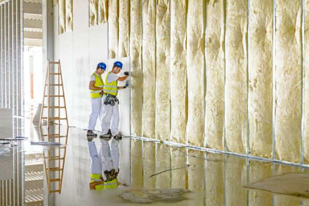 Best Crawl Space Insulation  in Fosston, MN
